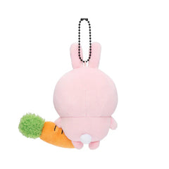 Nagano | FRIENDS Rabbit Mascot